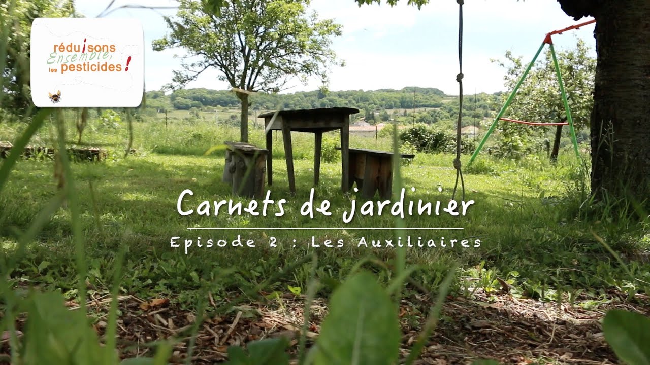 SMVVA Carnets de jardinier épisode 2 : Les auxiliaires