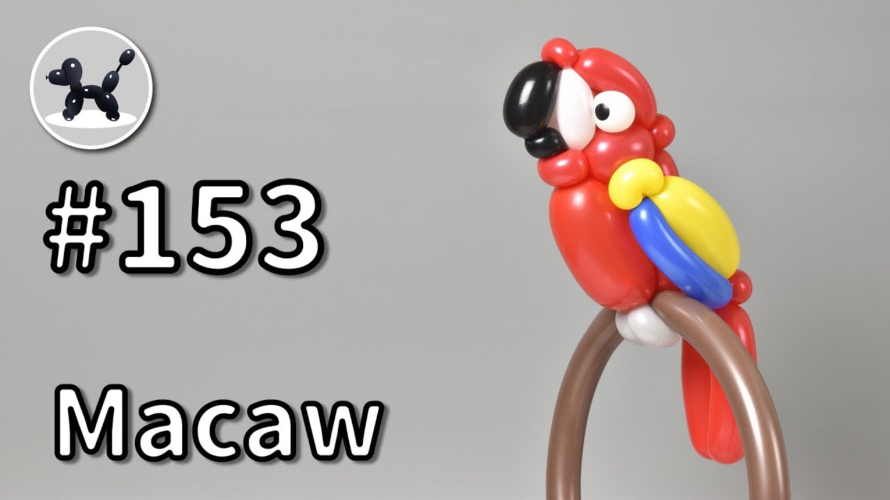 Macaw - How to Make Balloon Animals #153 / バルーンアートの作り方 #153  (コンゴウインコ)