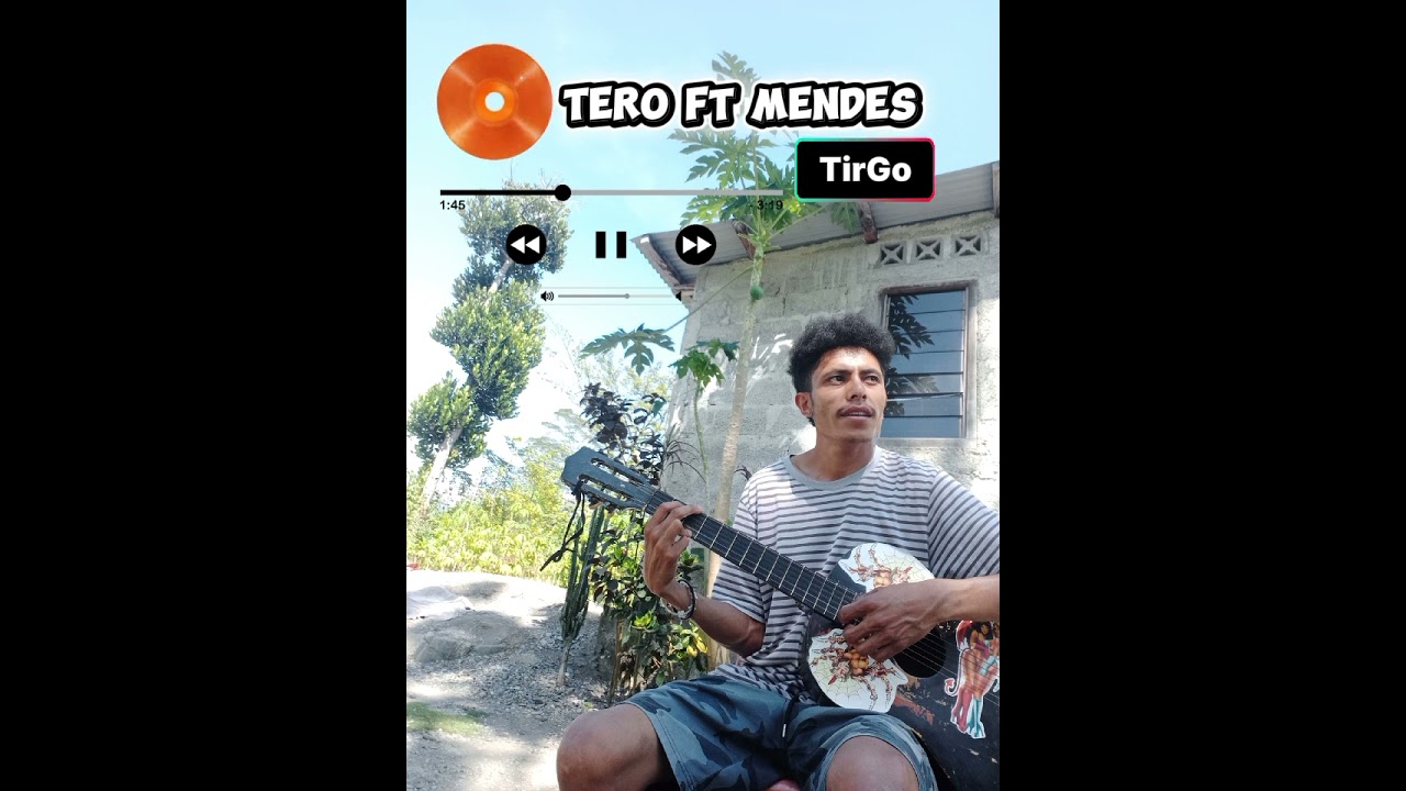 Mendes cover 🎤