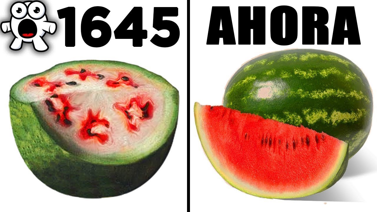 Alimentos Que Originalmente Se Veían Totalmente Diferentes