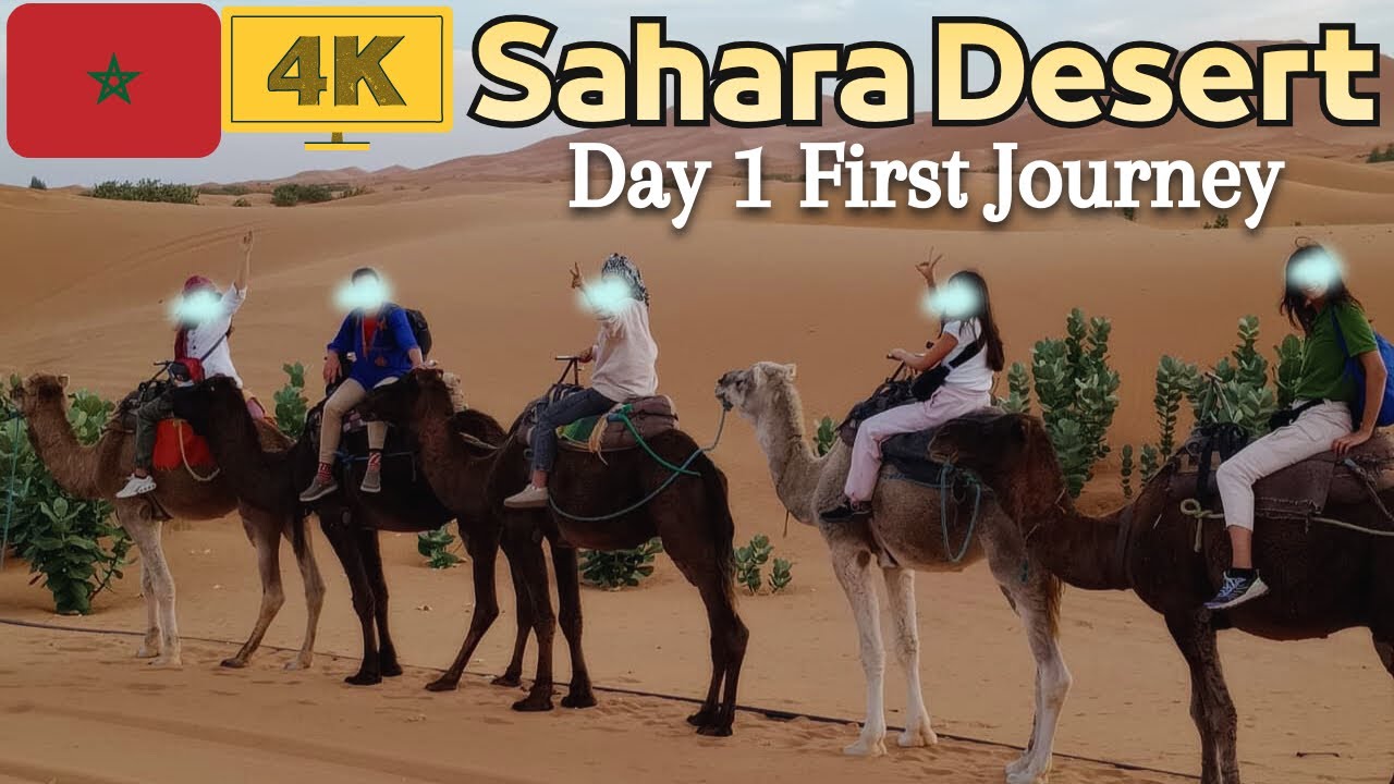 【4K】🇲🇦Sahara Desert Tour Day 1: From Fez to Marrakech for ONLY €150😳 Camel ride