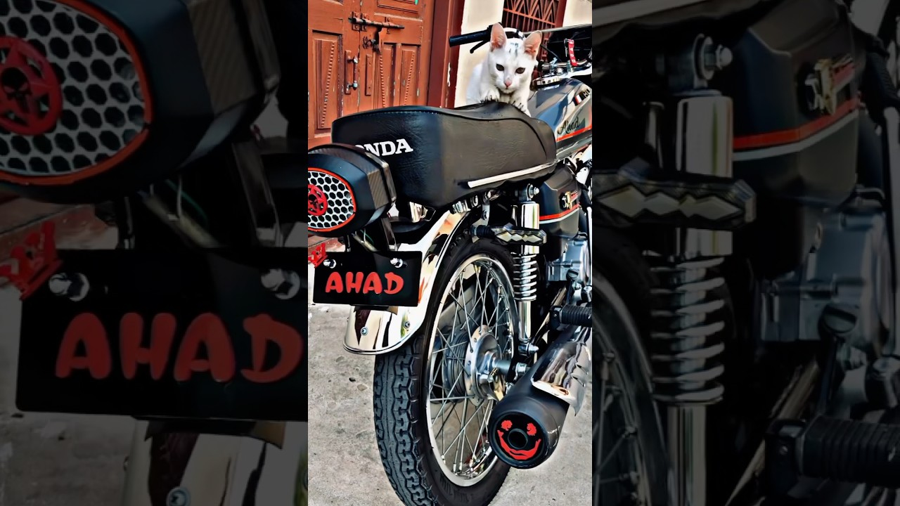 Honda 125 lover | Honda 125 2025 model | simple modification #honda125 #indianbikes