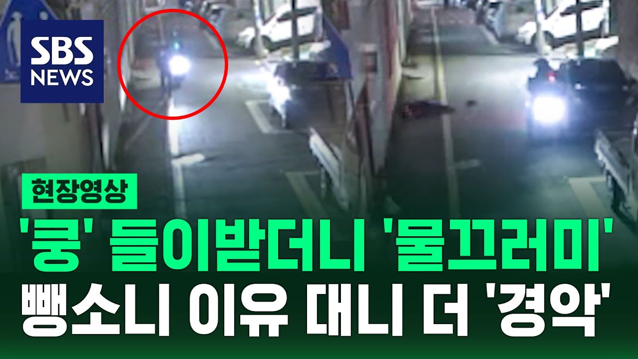 70대 노인 치고 빤히 쳐다보더니 '쌩' 잡히자 늘어놓은 황당한 말 (현장영상) / SBS