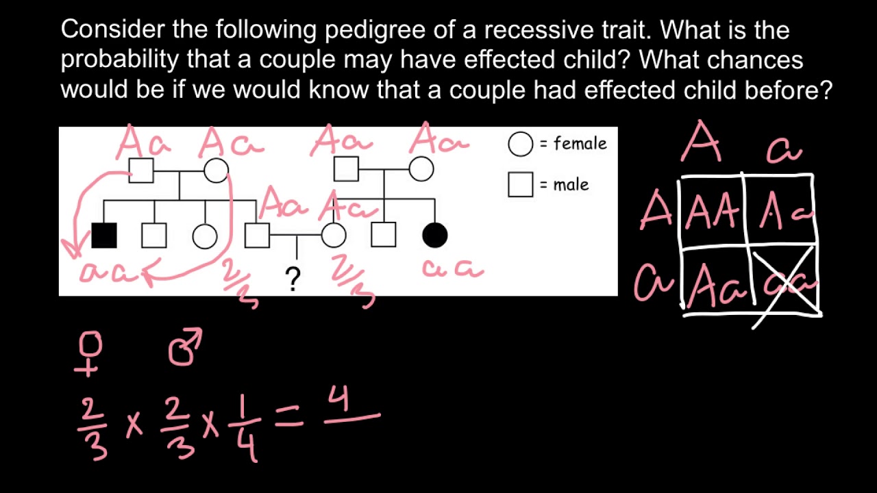 Genetics and conditional probability