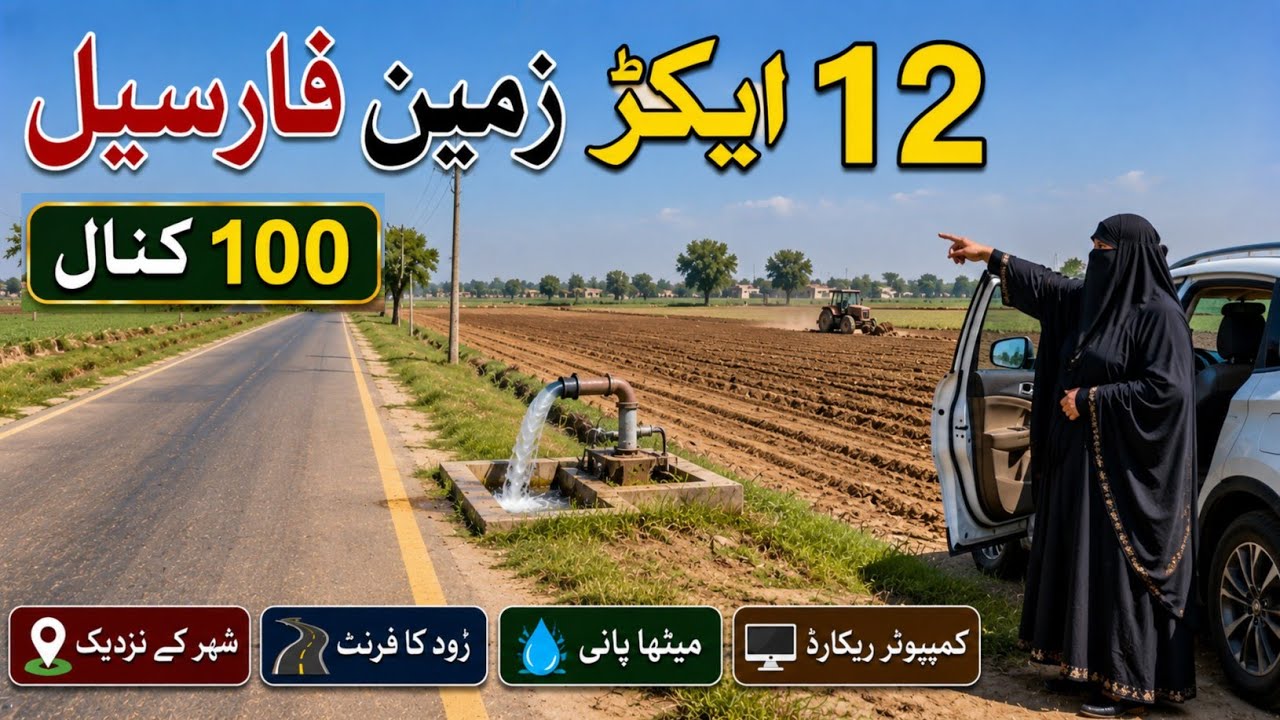 12 Acre Agriculture Land for Sale in Punjab Pakistan | Low Price | Raqba for Sale | Ep 259