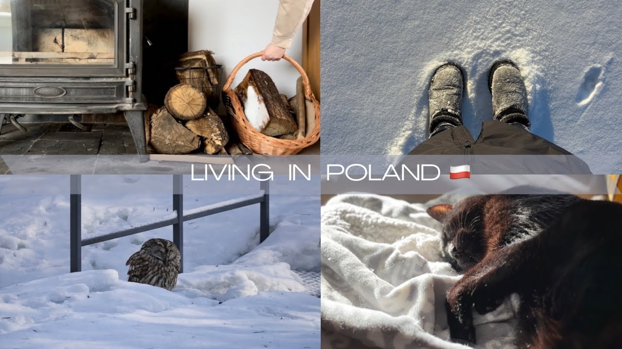 Slow living in a small Polish town 🇵🇱 | Winter morning routine, snowy nature walk & Owl rescue