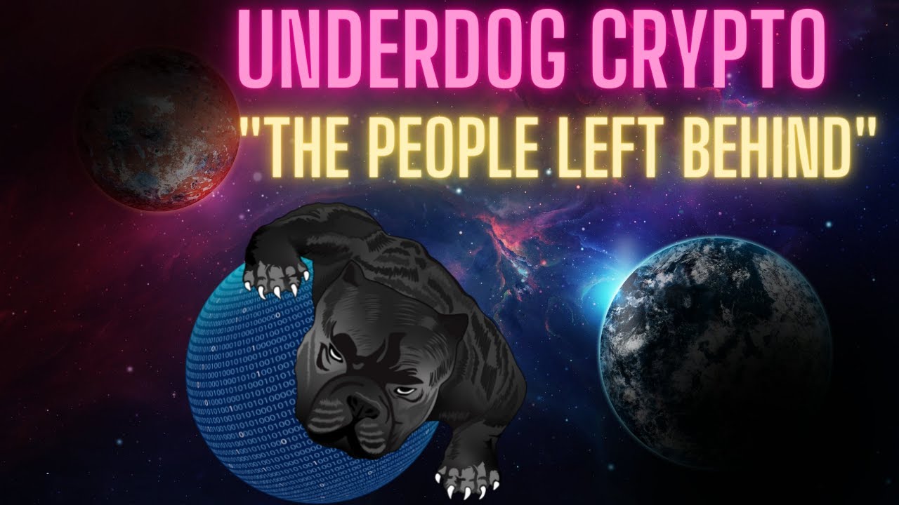 CRYPTO WEALTH AND THE DIGITAL GAP: LIVE STREAM