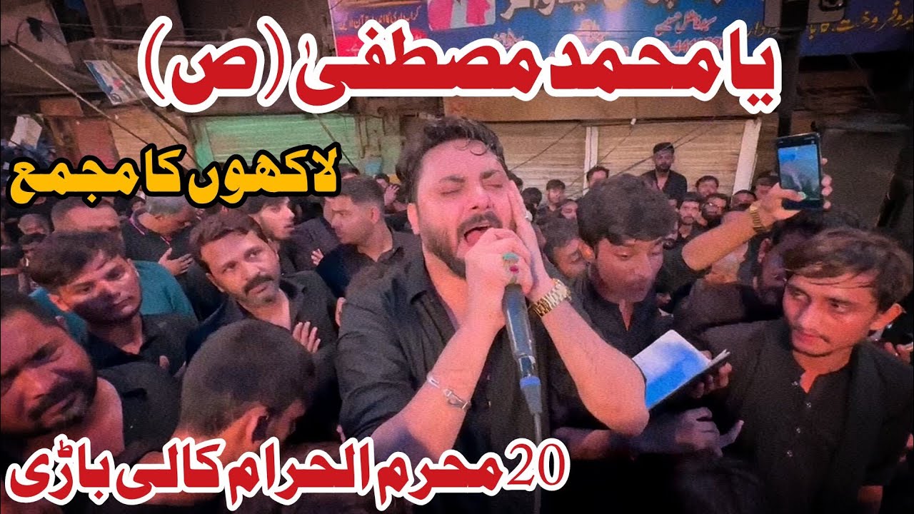 Ali Hamza | Ya Muhammad Mustafa | 20 Muharram Kali Bari Haji Ansar | 2024