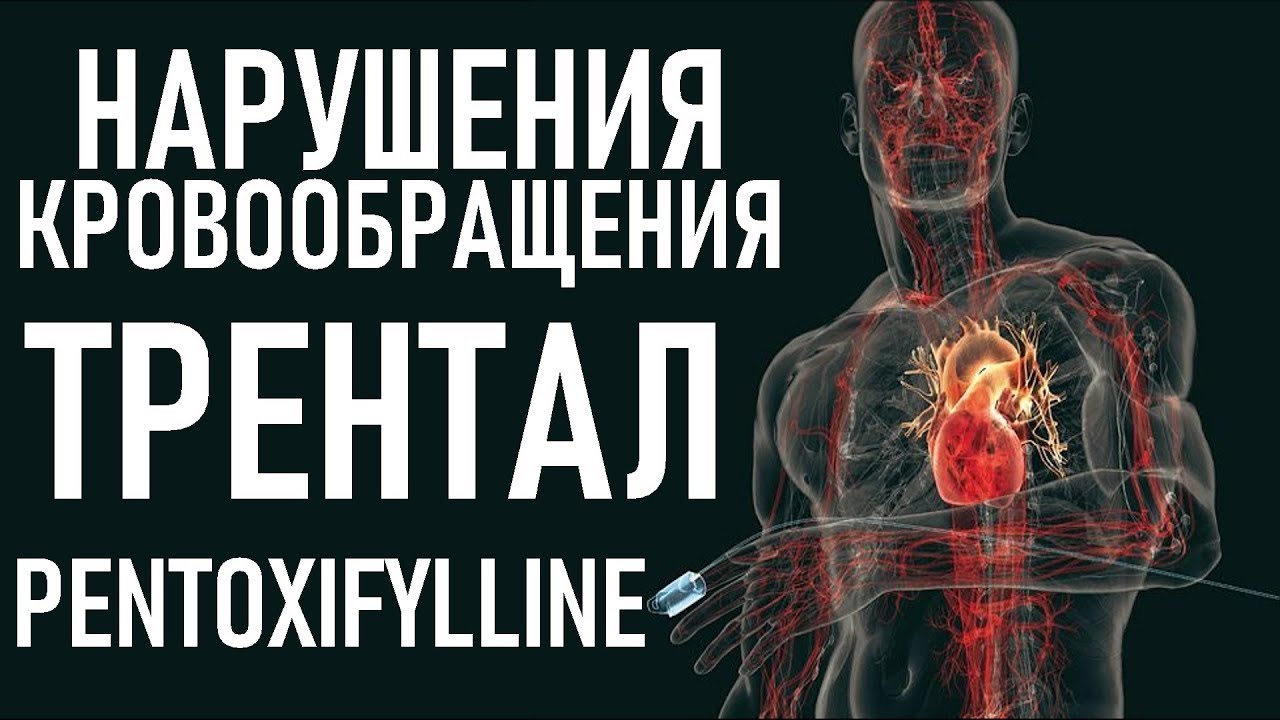 Пентоксифиллин ПОВЫШАЕТ ВЫЖИВАЕМОСТЬ | Trental (pentoxifylline) indications, interactions