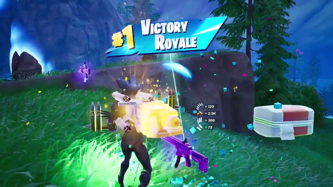 Fortnite W’s - thank you, Bot, may I have another?
