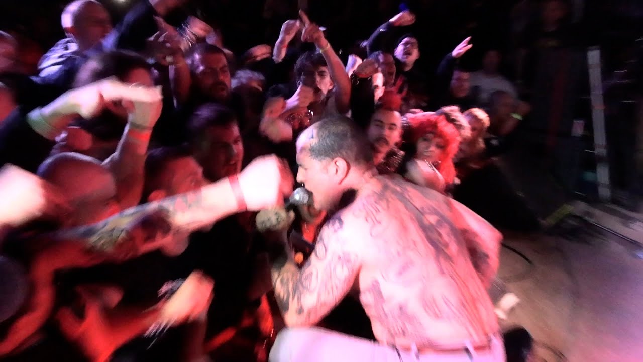 The New York Hounds - Live - February 2nd 2025 - Partial Set -