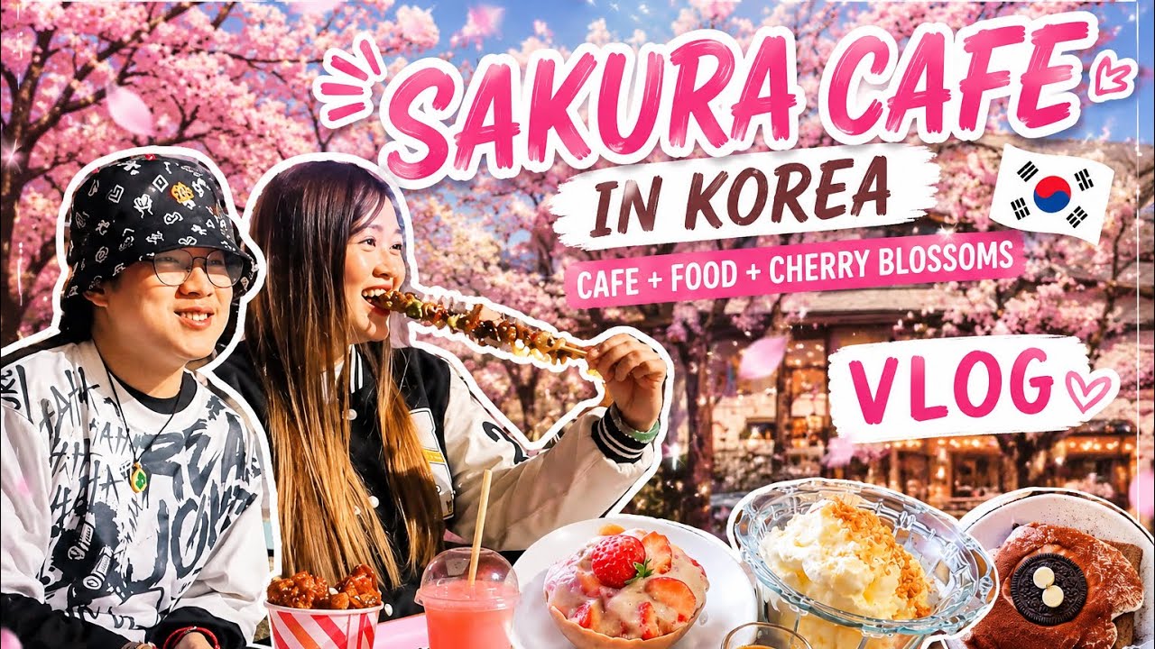 Korea Day 5 Vlog Spring Cherry Blossoms | Han River, Cute Cafe's, Street food