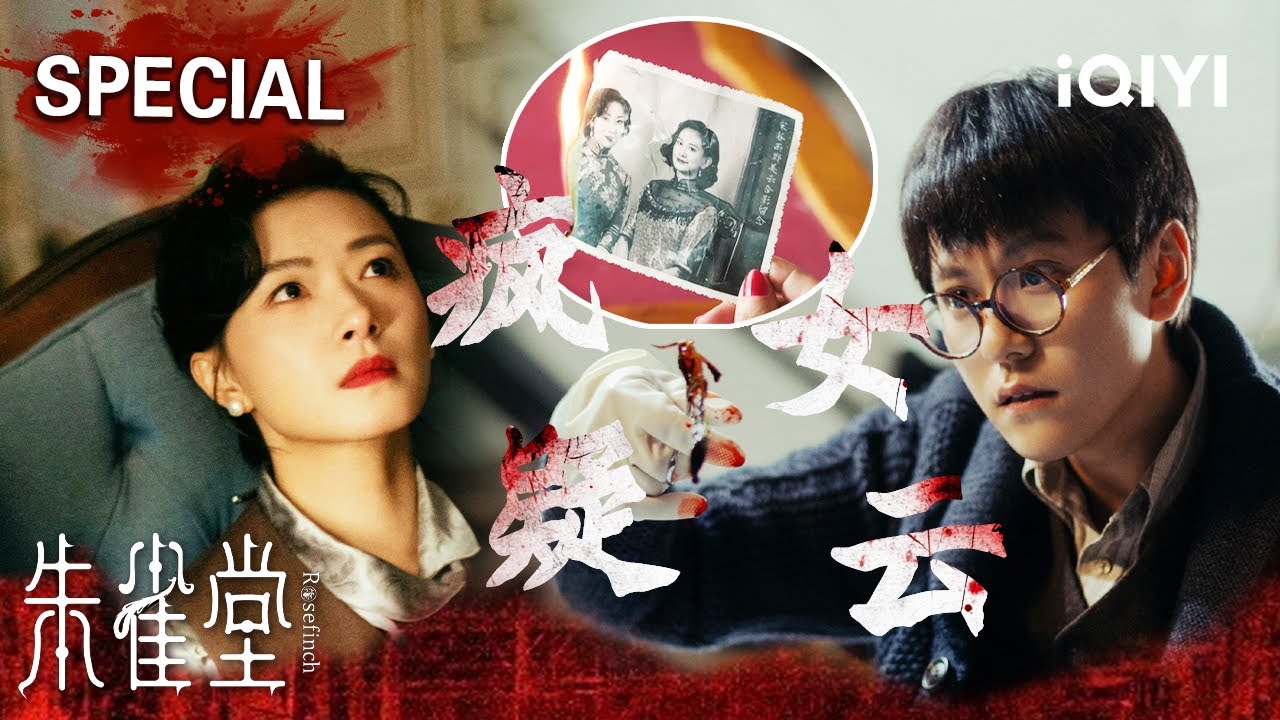 【朱雀堂|特辑4】尸儡重现💀牵扯数年前疯女遭遇的权色交易！💥万茜秦俊杰锁定真凶，复仇者揭晓血海深仇🔪朱雀堂秘密初现端倪... | Rose Finch | iQIYI悬疑社