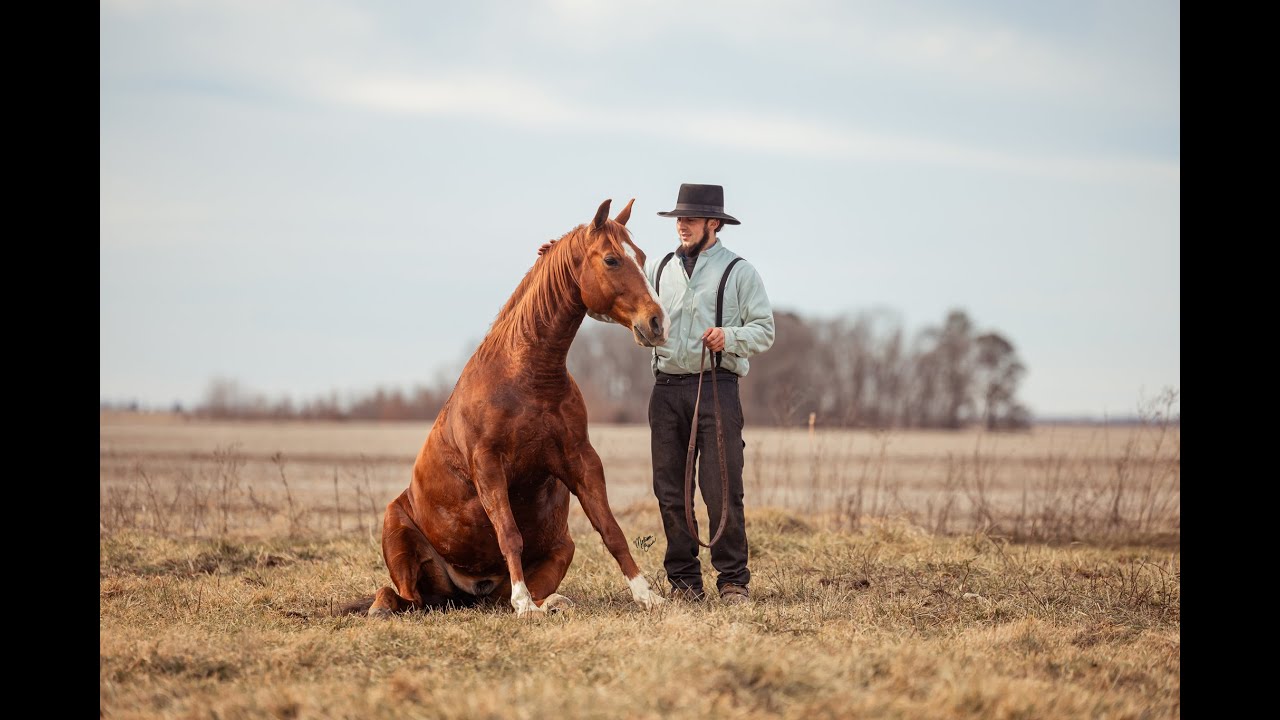Smarty - Short Video from Yoder Equine