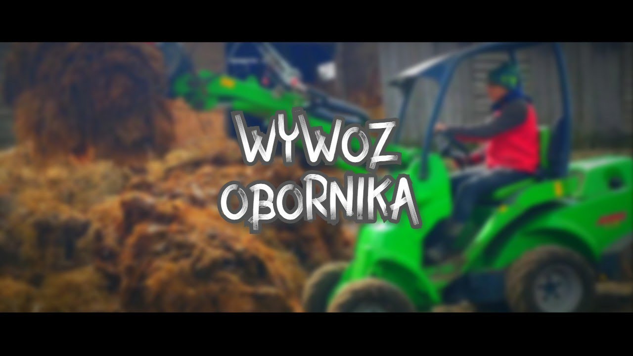 Avant 528 wywóz obornika od jałówek