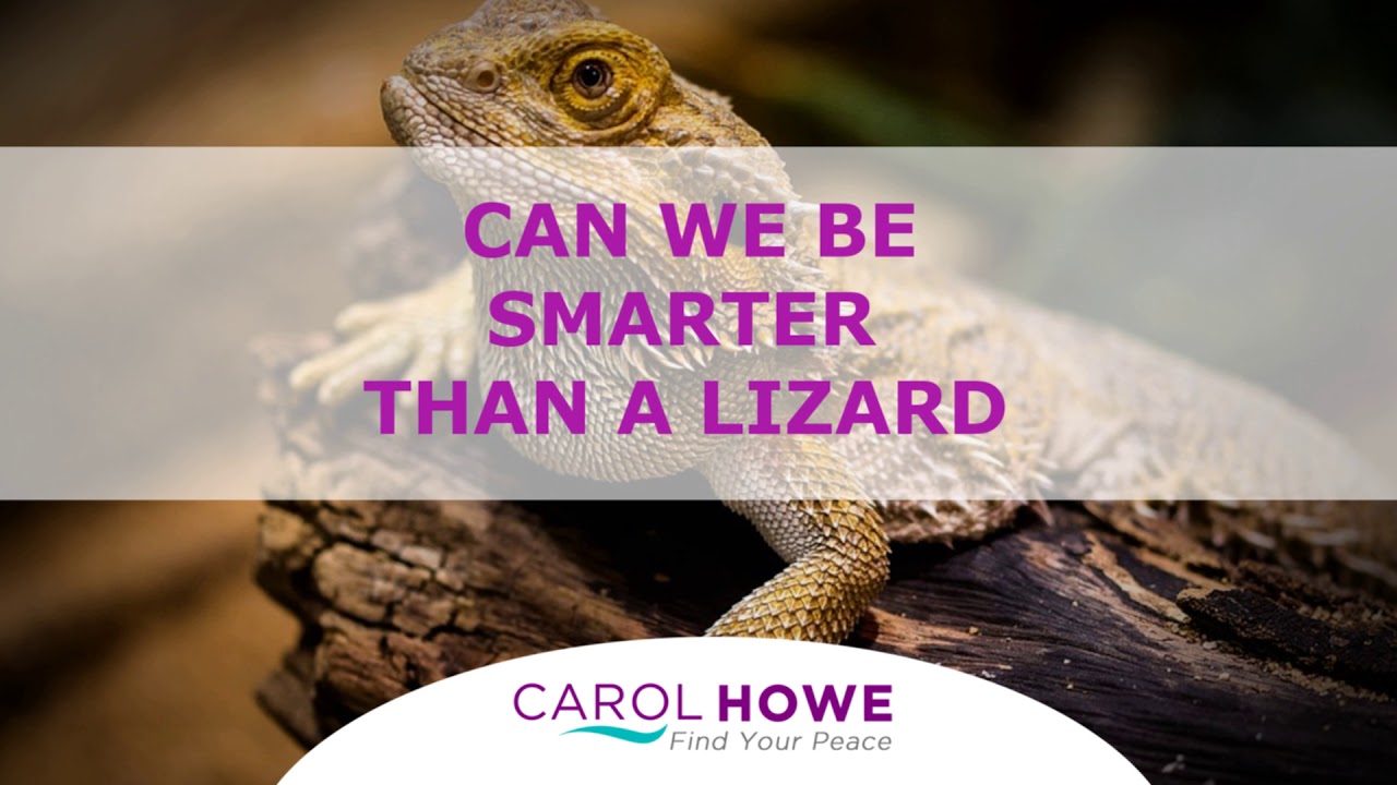 Podcast 36 - Can we be smarter than a lizard?