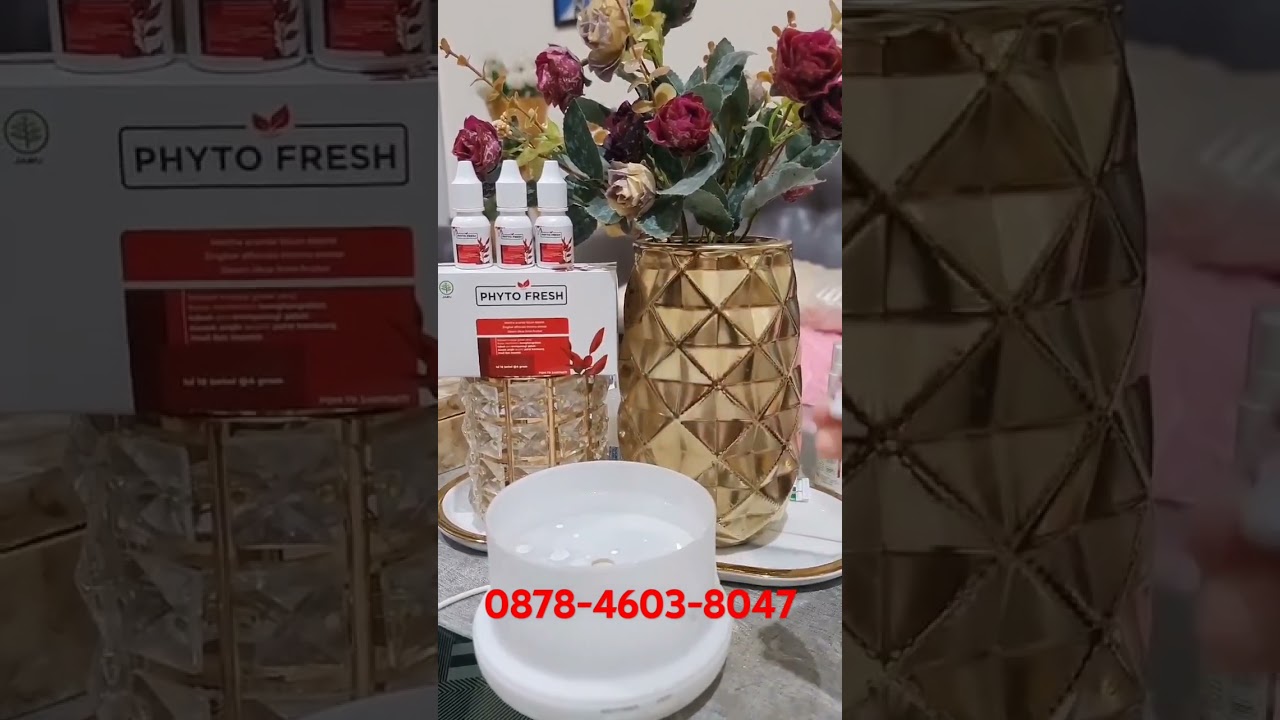 Peluang bisnis PHYTO FRESH