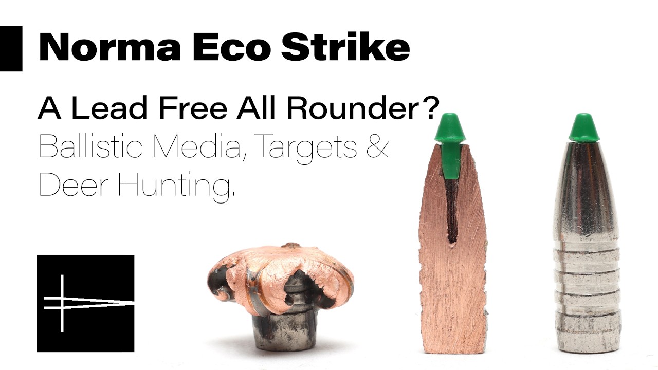 Norma Eco Strike — универсальный прибор без свинца? Ballistic Media, Targets & Deer Hunt
