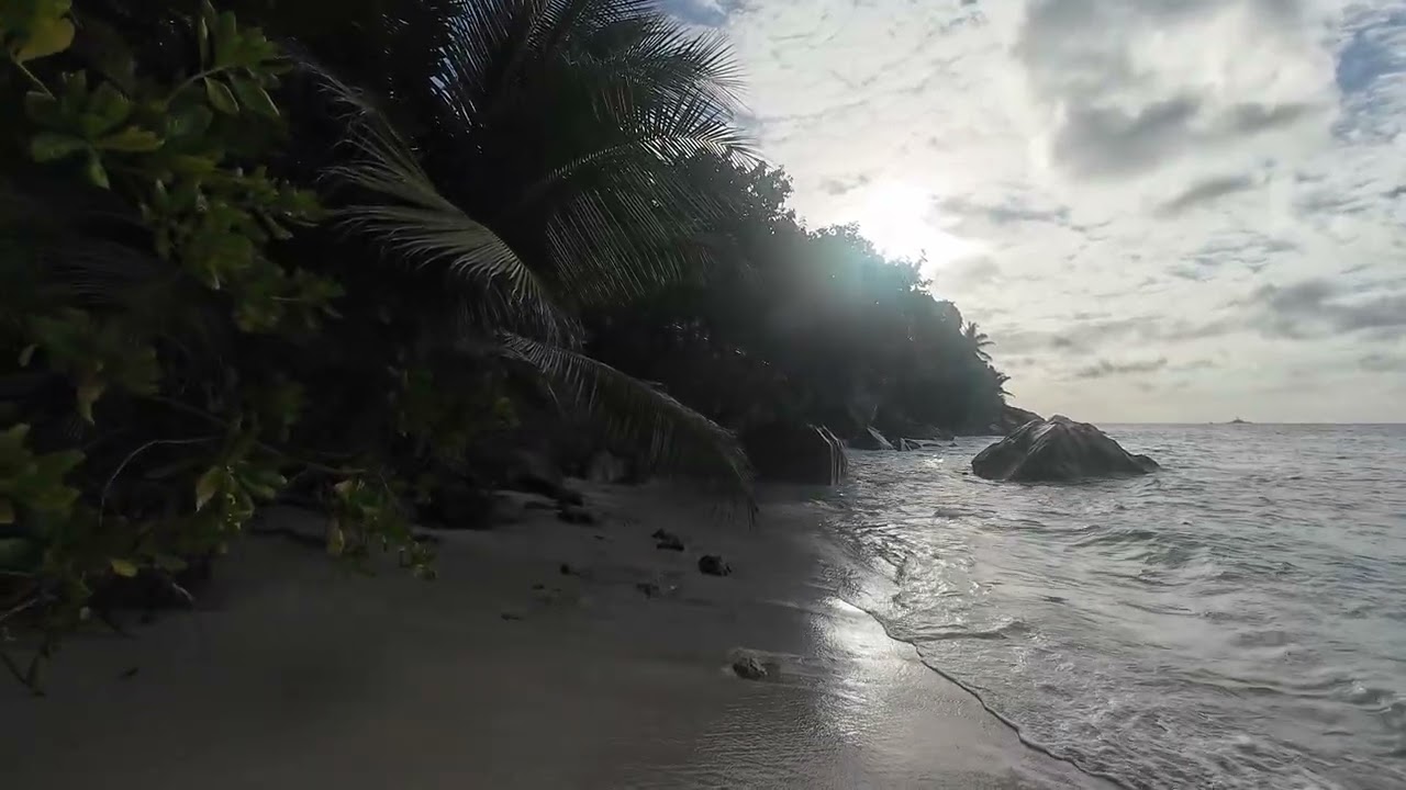 Seychelles  Anse Patates