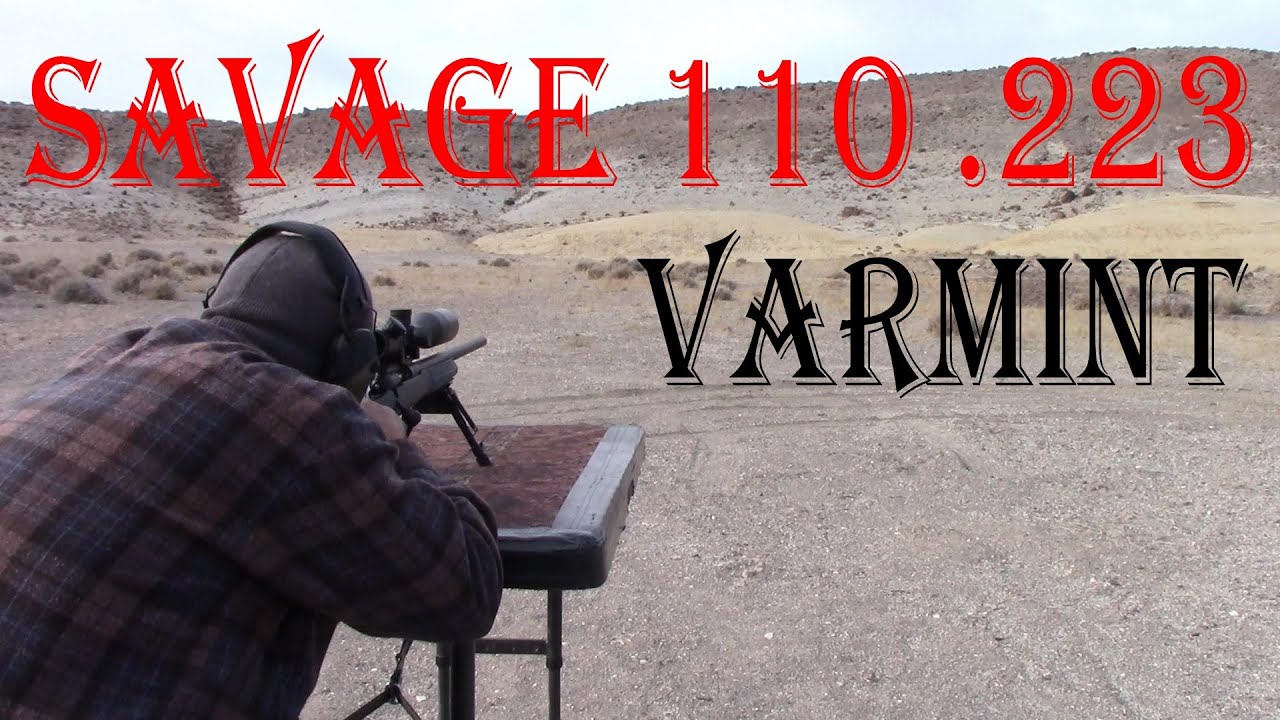 Savage 110 .223 Varmint