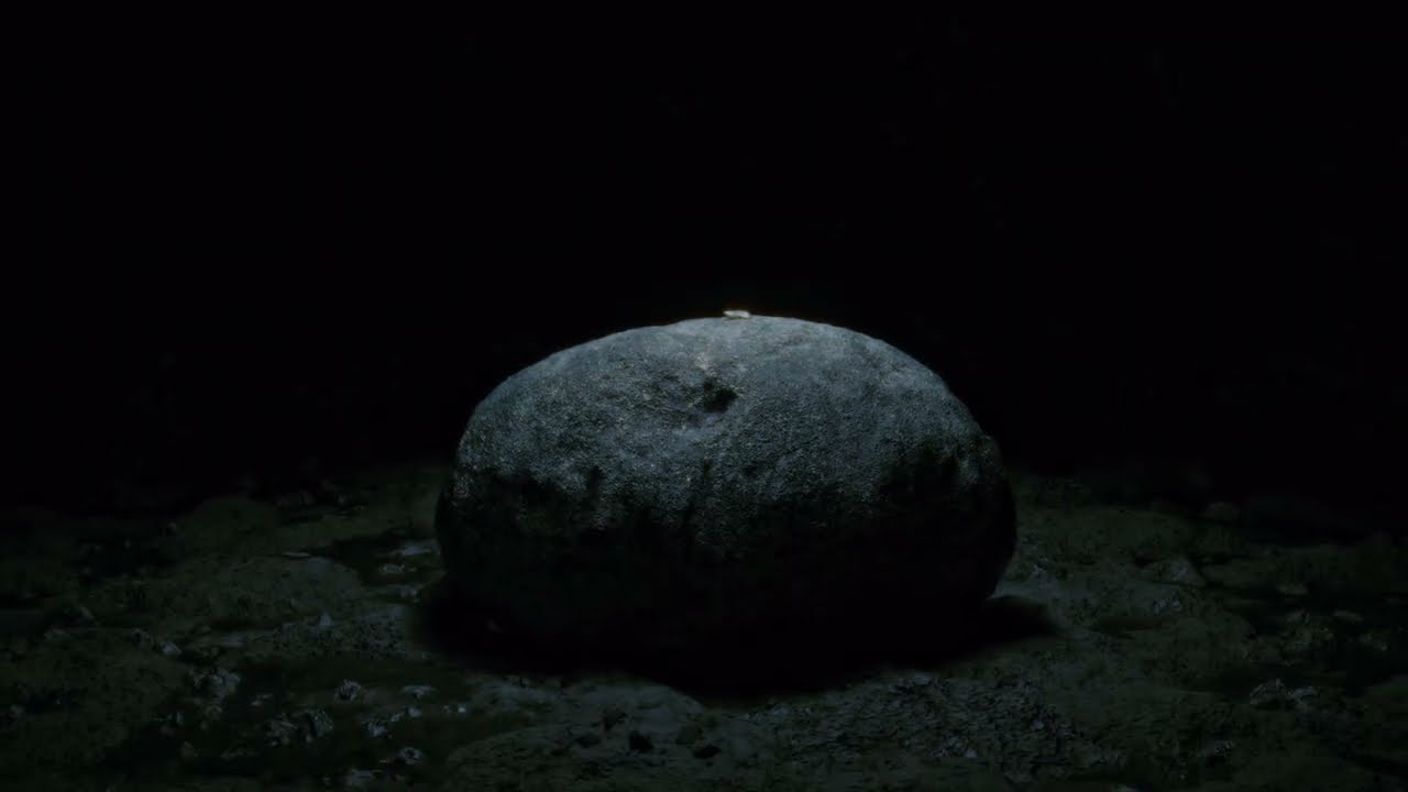 Багно - Гідра (Official Visualizer)