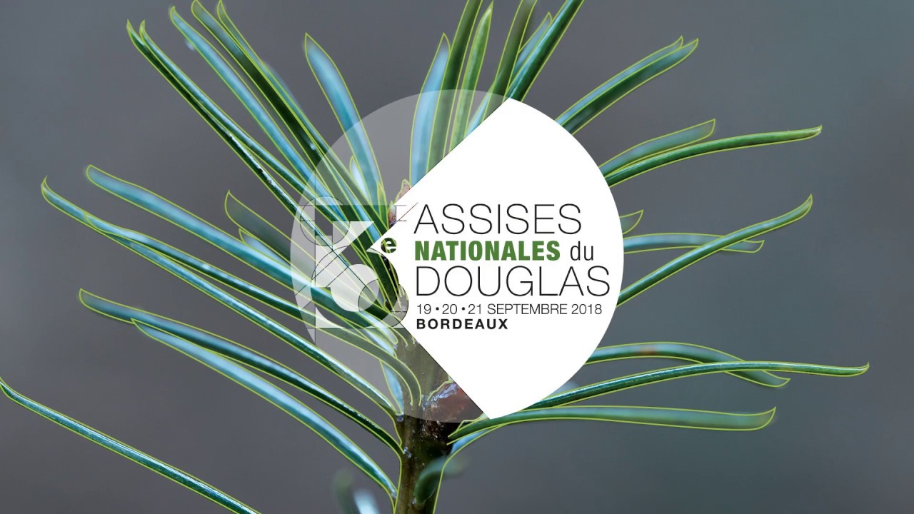 Kurtzdev - animations pour France Douglas