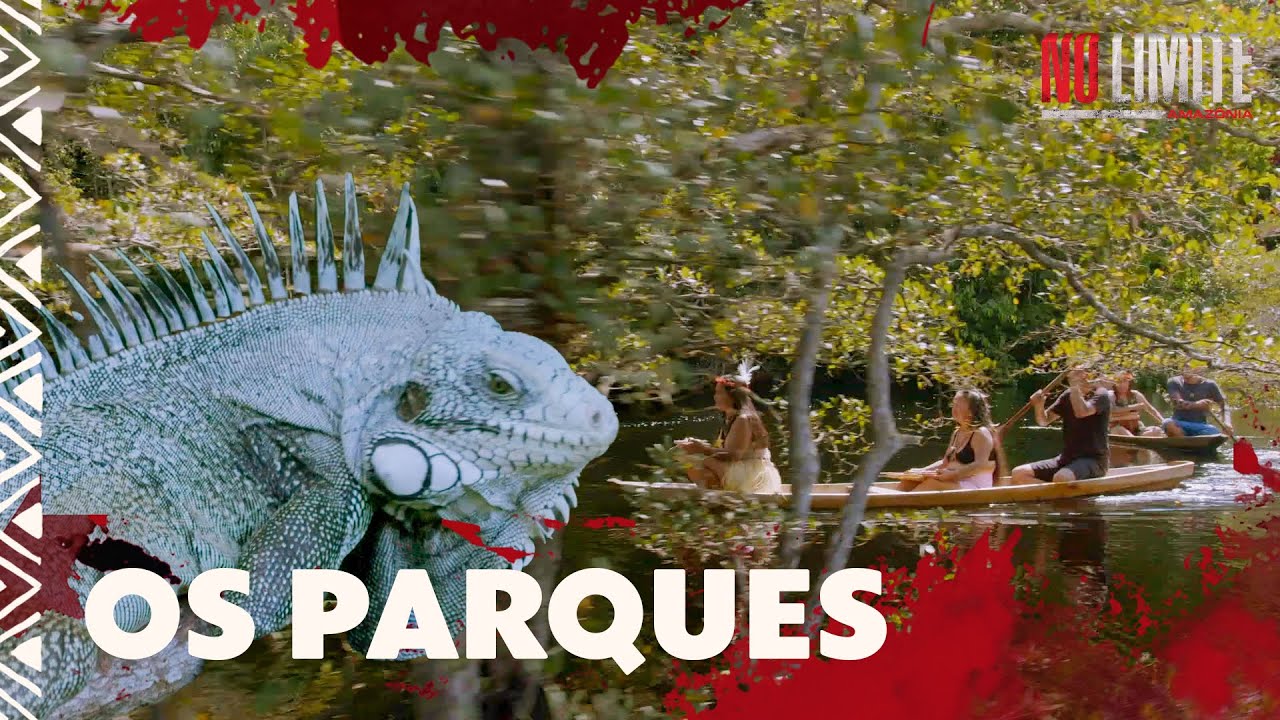 Parque Nacional de Anavilhanas e  Parque Nacional do Ja&uacute; | No Limite Amaz&ocirc;nia