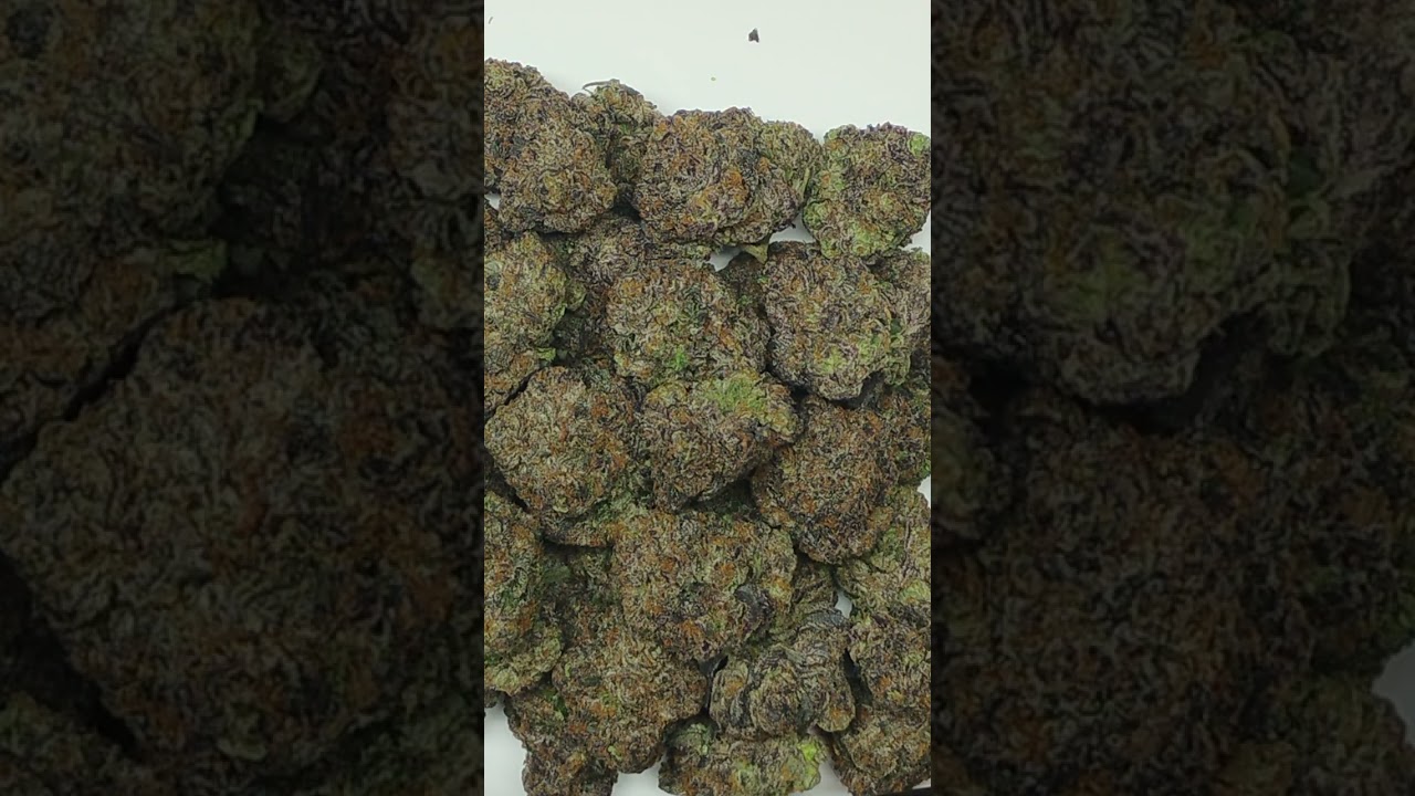 🔥Crunch Berry Kush🔥 Cannabis strain review/W Dr. Greenbody 🍂(Fall Edition)🍂