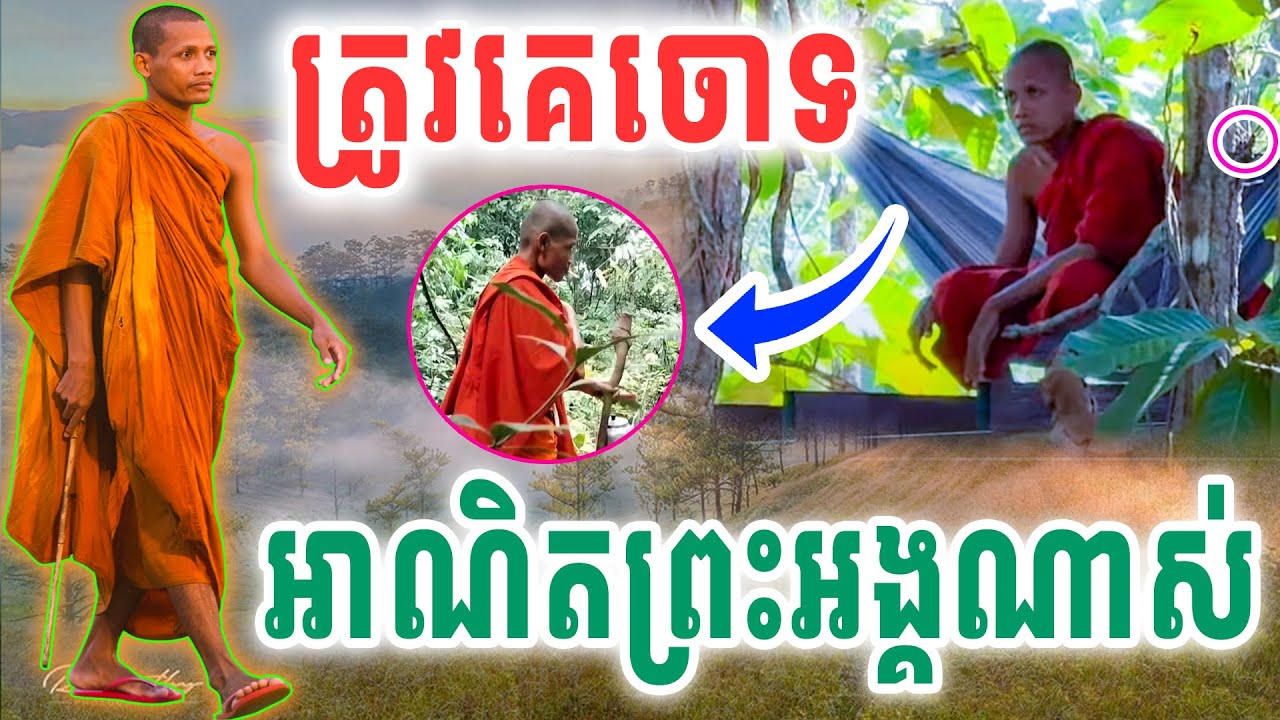 អាណិតព្រះអង្គណាស់ចូលព្រៃ ឥលូវមានអ្នកបន្លំខ្លួនថាព្រះអង្គទៀត ដោយព្រះអង្គ ចន្ទ មុនី Vet Lai Official