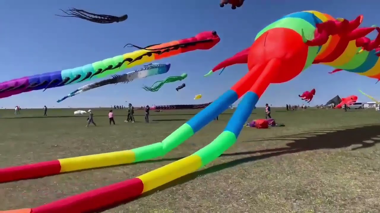🪁 Free Shipping: 18m Centipede Kite 🪁
