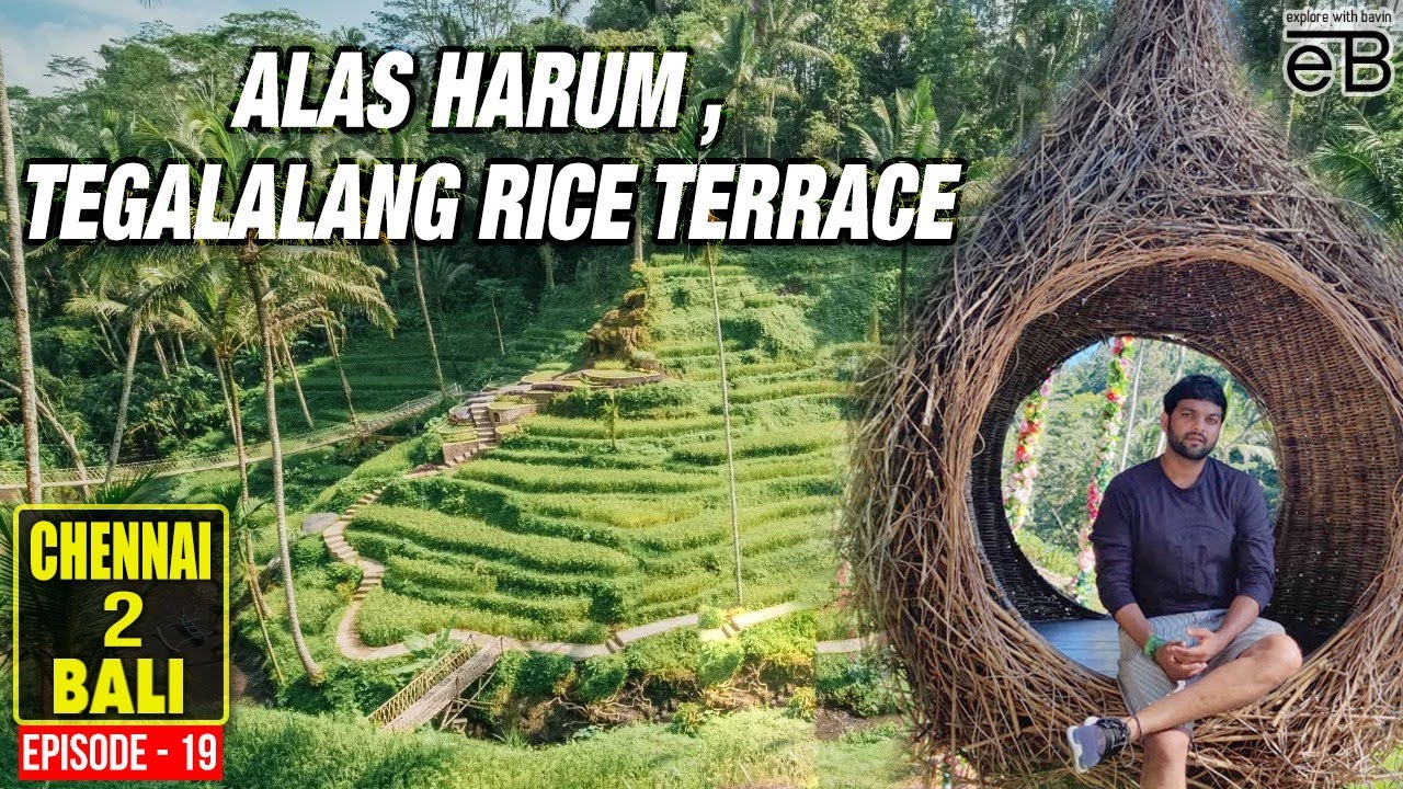 Alas Harum & Tegalalang Rice Terrace - The Most Romantic Places | Bali | Explore With Bavin
