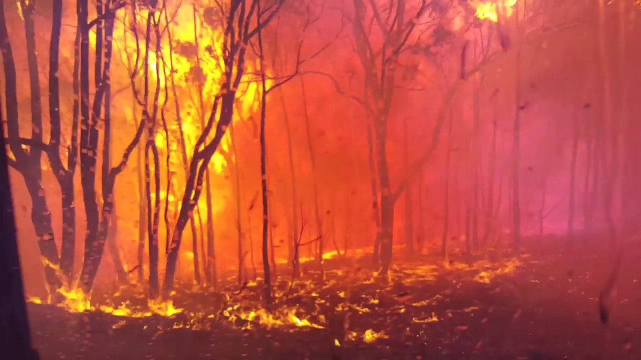 7 Seconds to Crown Fire Overrun (burnover / entrapment), 17 Feb 17, Carwoola, NSW, Australia