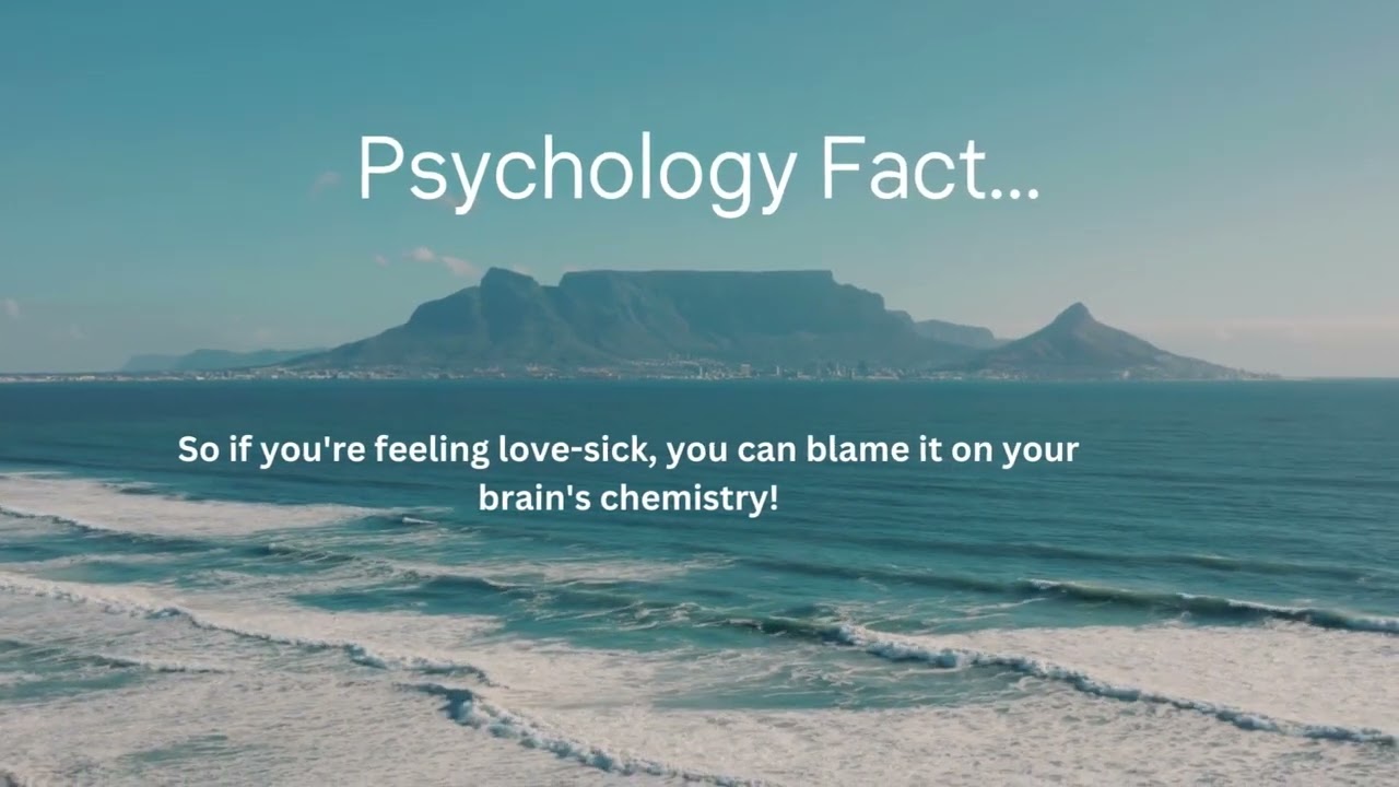 he Science of Love Addiction: Why Falling in Love Feels Like a Drug