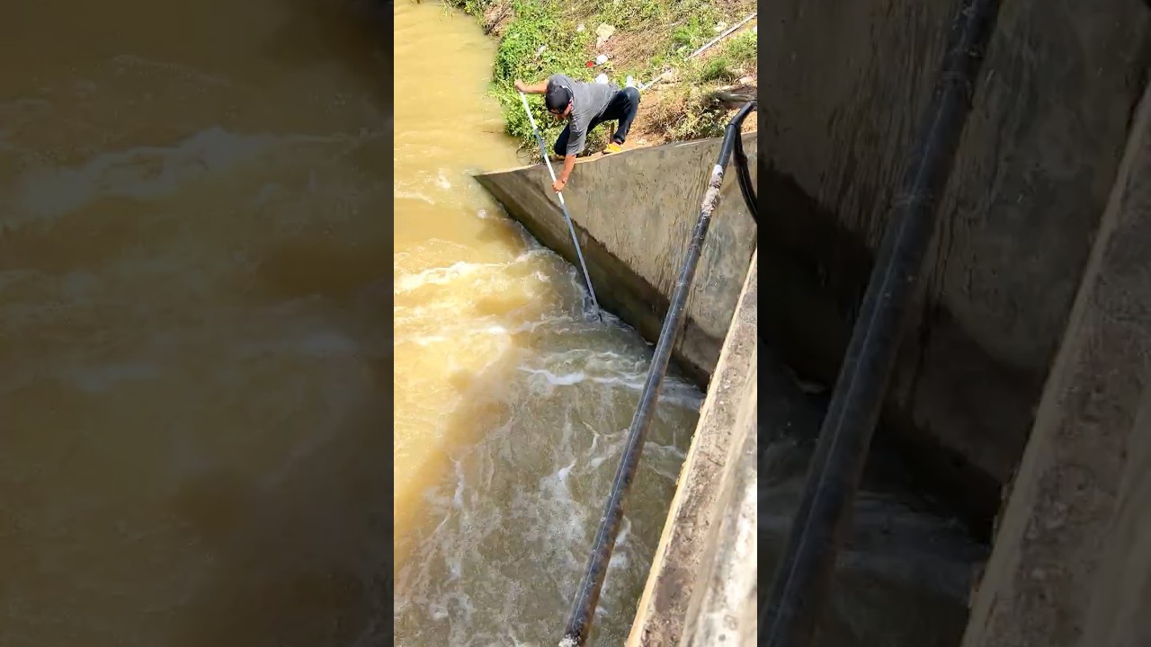 Real Life 100% Net Fishing In River At The Countryside (Part 1308) #fishing #fish #new