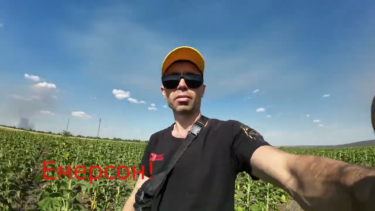 Соняшники догорають на пiвднi Украiни! NO-TiLL поле з Соняшником!