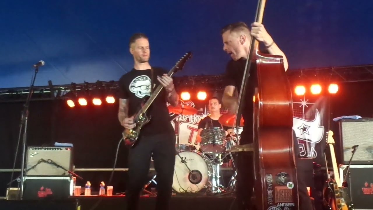 Domestic Bumblebees (live @ Sjock festival 48)