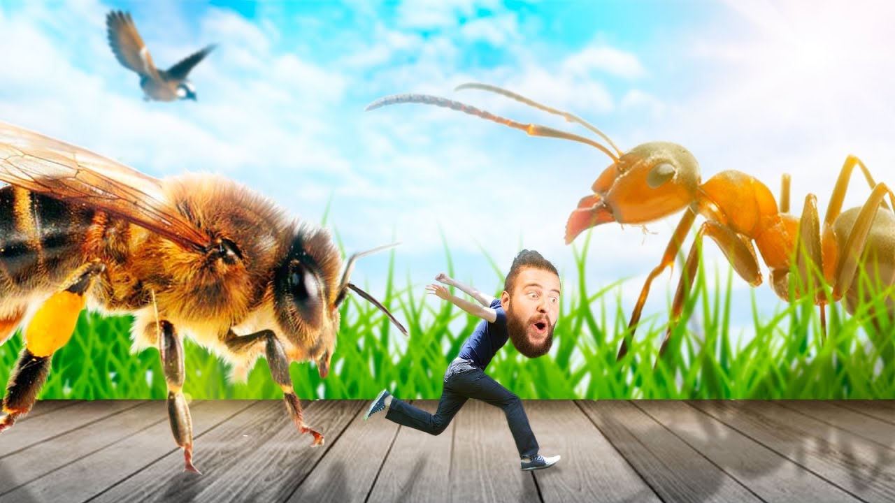 🔴 Cariño... Nos Han Encogido !!! | Grounded #1