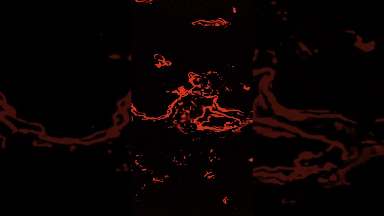 Commodo - Deep Harbour ft. Alfa Mist