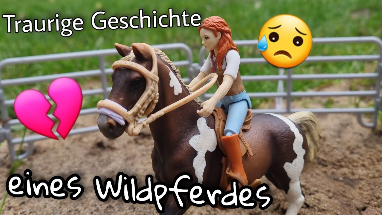 Die traurige Geschichte eines Wildpferdes namens Browni🐴Schleich Pferde Kurzfilm ❤