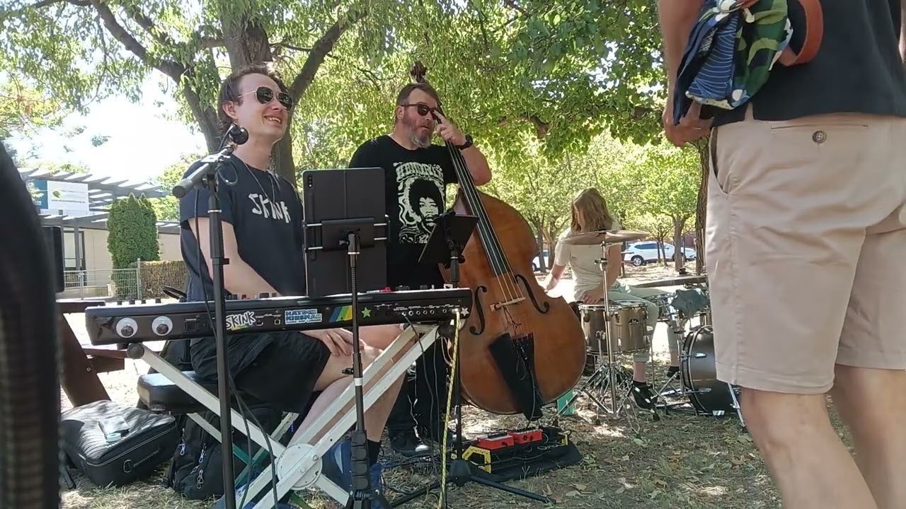 Skink Live in Dickson