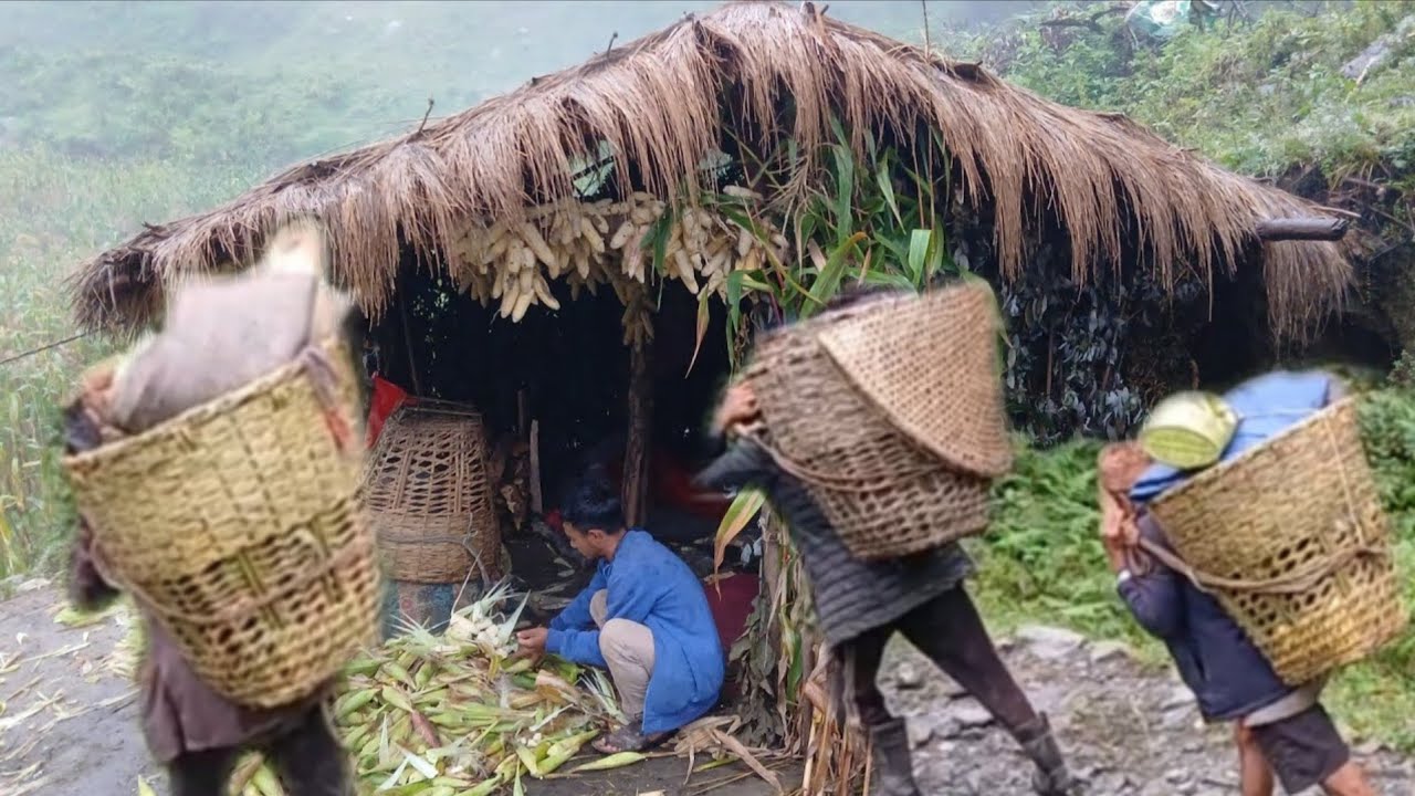 Nepali Mountain Shepherd village Life | Rainy Day Life in most Hard wornking | Nepalivillage Life