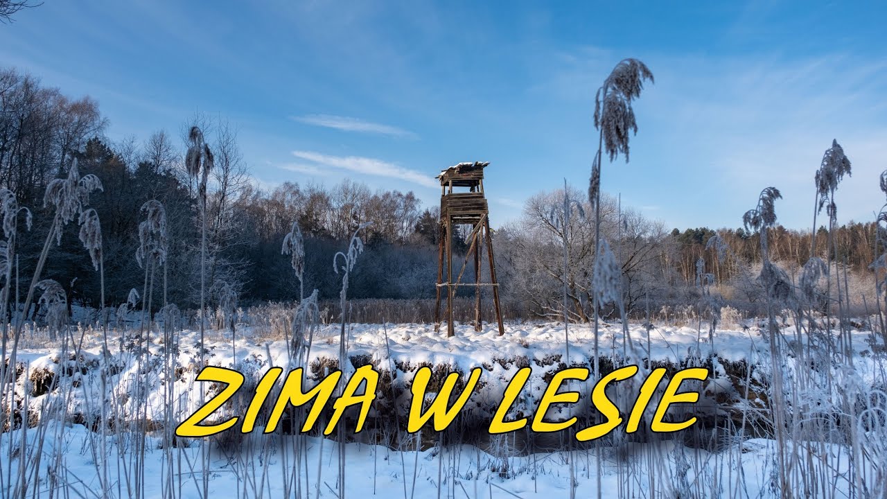 Zima w lesie (dolina Kłodnicy, Starganiec, Uroczysko Buczyna, Czarny Staw)