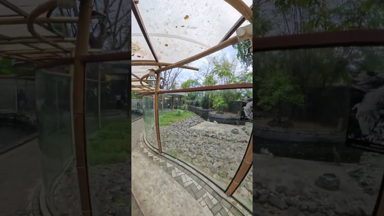 Manila Zoo - Crocs / Turtles etc