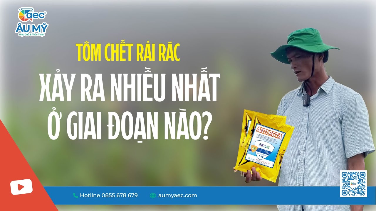 T&Ocirc;M CHẾT RẢI R&Aacute;C - Xảy ra nhiều nhất ở giai đoạn n&agrave;o ? | Thuốc thủy sản | Au My AEC