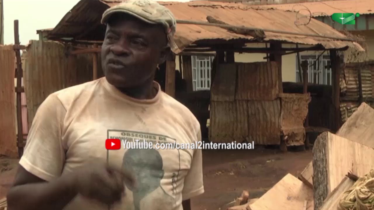 DOCUMENTAIRE - LE BOIS DU CAMEROUN (Découvrez  LE BÛCHERON Une invention Camerounaise)