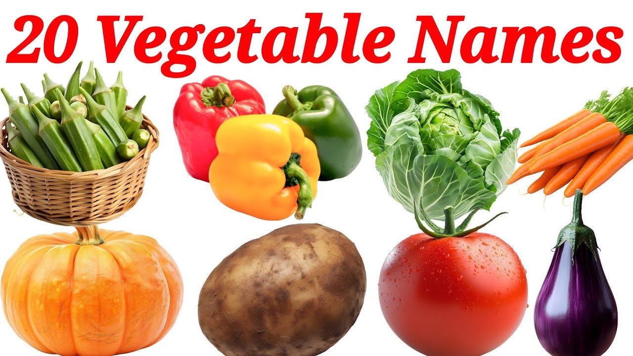 20 Vegetables Names in English and Hindi | Learn Vegetables for Kids | Preschool Educational Video