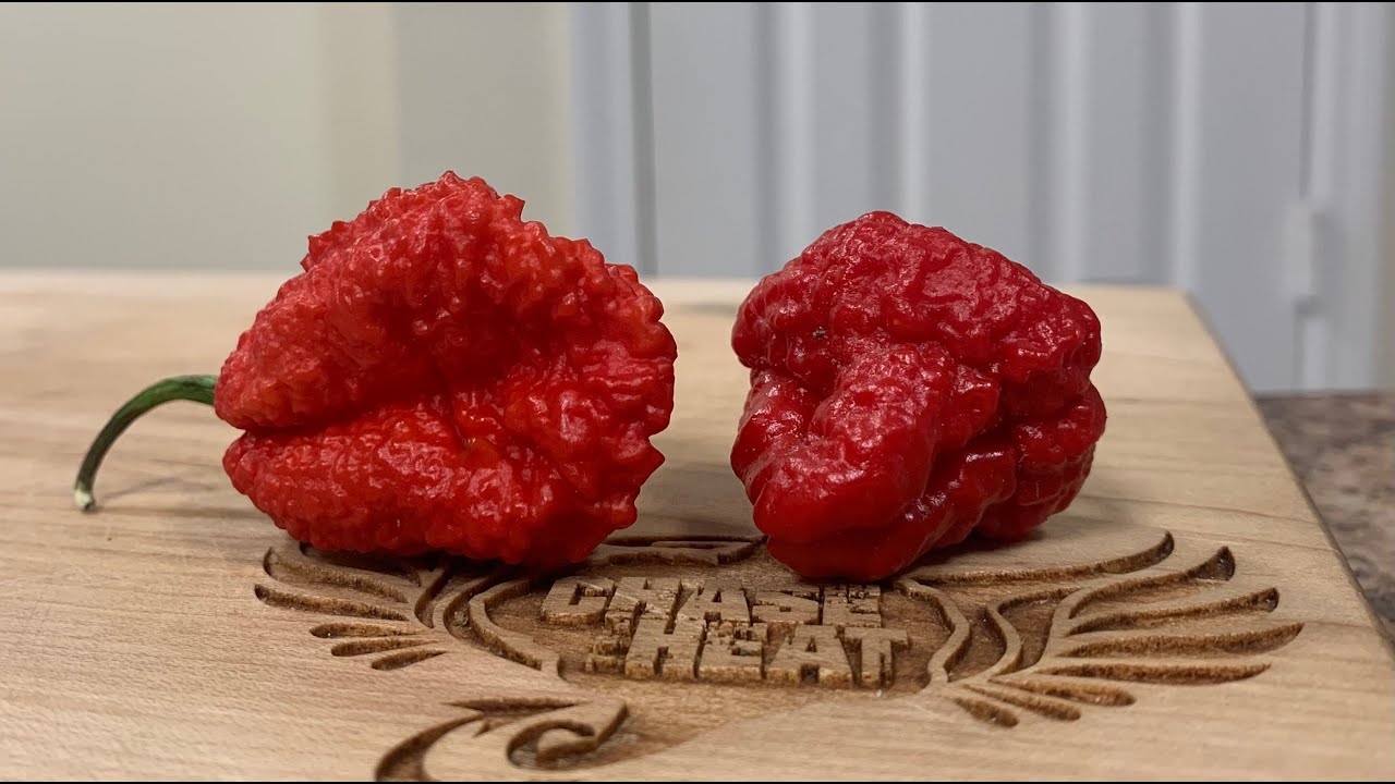 7 Pot X Reaper and a 7 Pot Jonah Peach X UFO! Both great, but one was AWESOME!