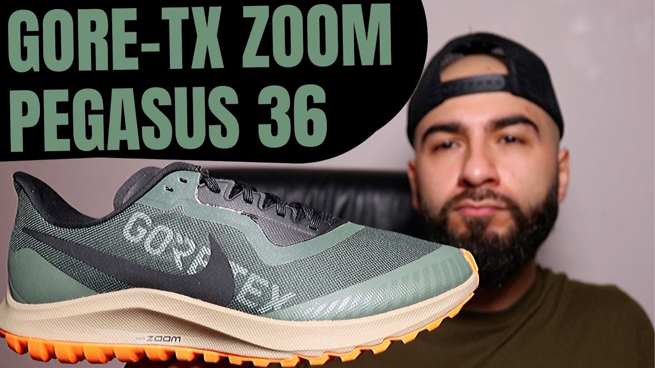 BUY OR BYE? Nike Gore-Tex Zoom Pegasus 36 Trail Review