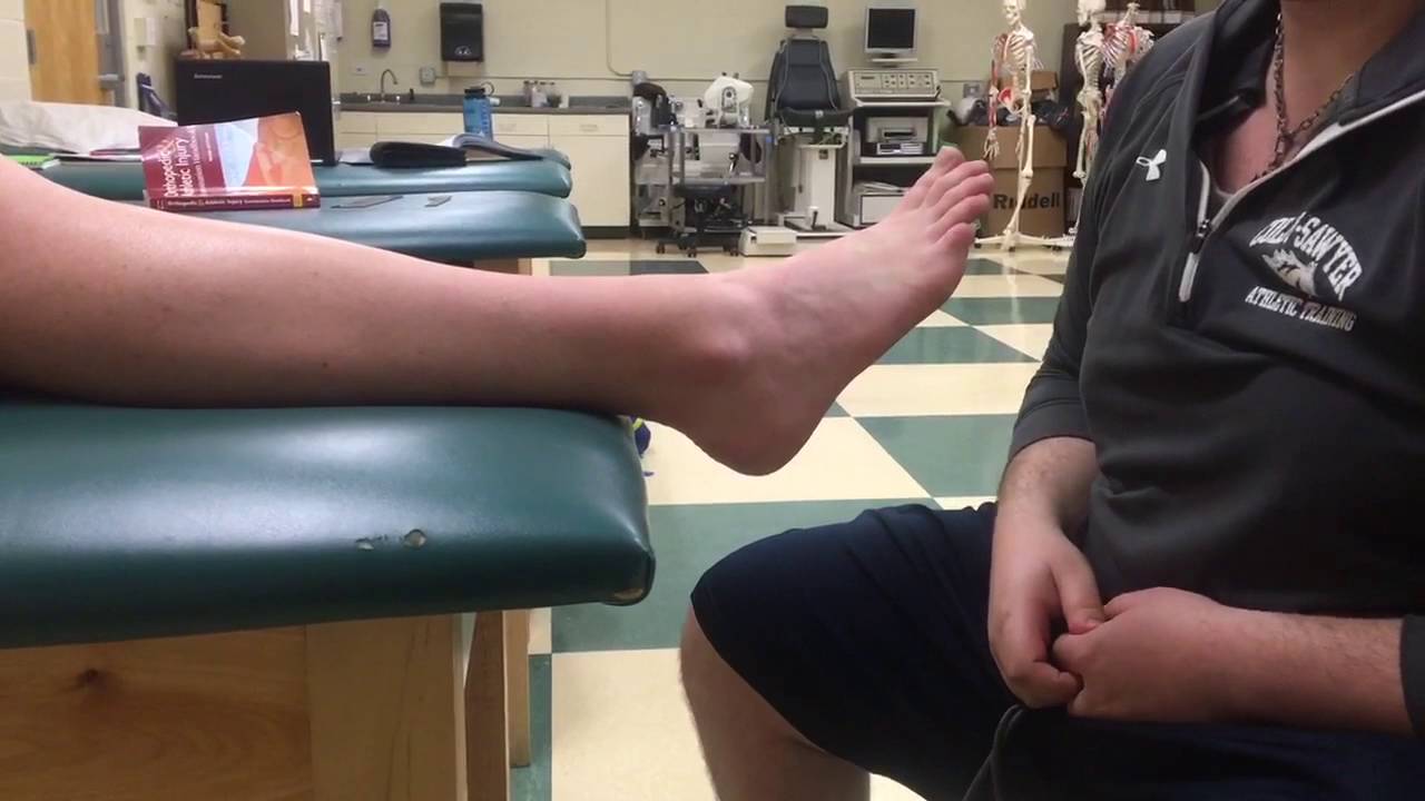 Palpation: Dorsal Aspect of the Foot