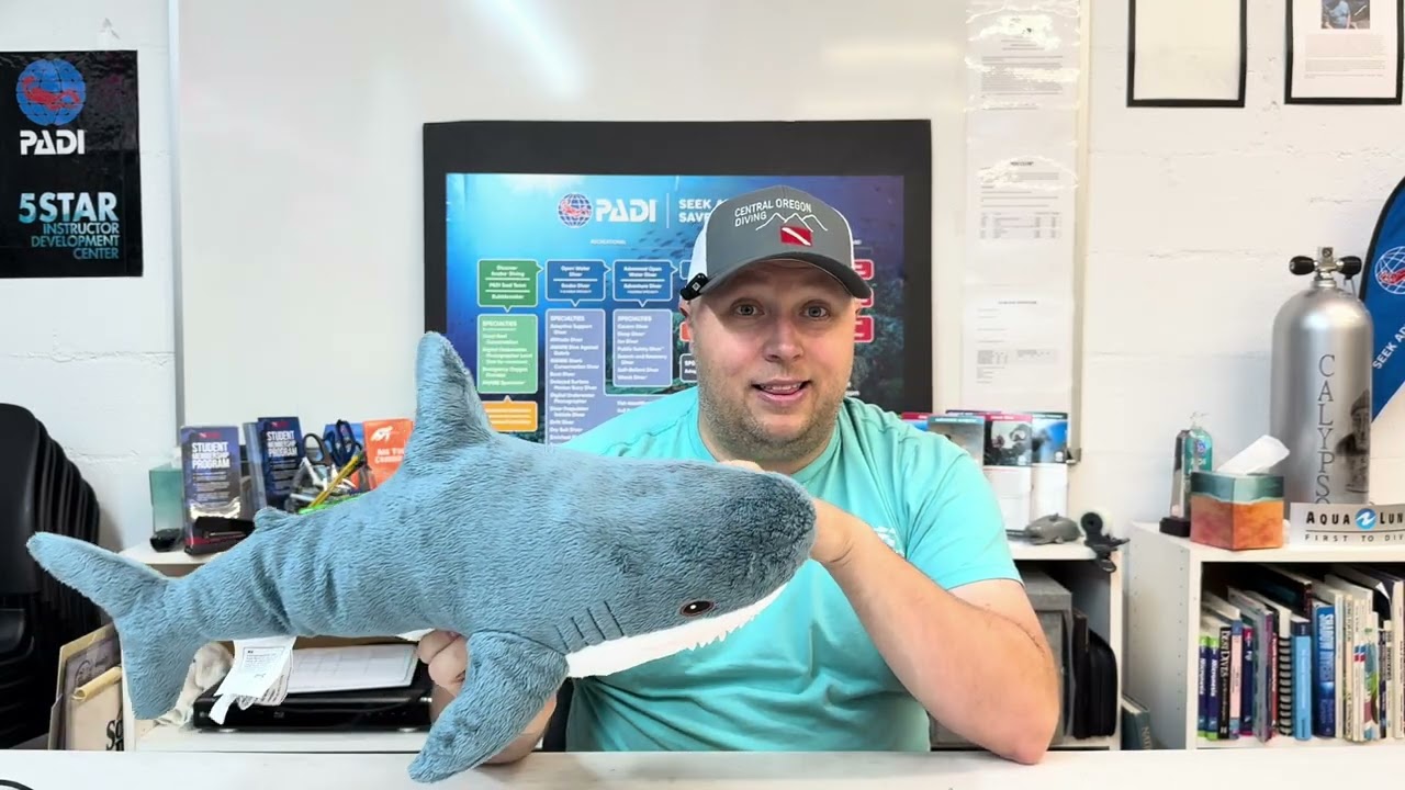Friday Fish (Sea Creature) Facts on  Blue Sharks